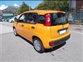 FIAT PANDA 1.0 firefly hybrid 70cv