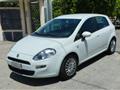 FIAT Punto 1.2 8V 5p. Street