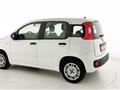 FIAT PANDA 1.2 EasyPower Easy - OK NEOPATENTATO