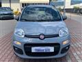 FIAT PANDA 1.2 LOUNGE AZIENDALE GUIDABILE NEOPATENTATO