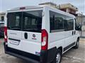 FIAT DUCATO 30 CH1 2.3 M-JET PASSO CORTO AUTOVETTURA 9 POSTI