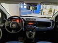 FIAT PANDA 1.2 Lounge E6 adatta a neopatentati