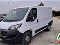 FIAT DUCATO 28 2.3 MJT 120CV PC-TN Furgone