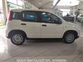 FIAT PANDA 1.0 FireFly S&S Hybrid Pandina