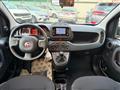 FIAT PANDA 1.0 FireFly S&S Hybrid/GPL con Pack Comfort