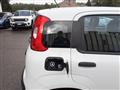 FIAT PANDA PROMO FINANZIAMENTO 1.2 EasyPower Easy