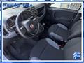 FIAT PANDA 1.0 FireFly 70 Cv Hybrid Easy