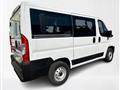 FIAT DUCATO 30 2.3 MJT 140CV PC-TN Panorama