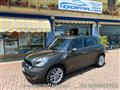 MINI COUNTRYMAN Mini Cooper S Countryman ALL4