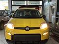 FIAT PANDA CROSS Panda 1.0 HYBRID 51KW