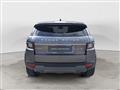 LAND ROVER RANGE ROVER EVOQUE Range Rover Evoque 2.0 TD4 150 CV 5p Business Ed. Premium SE