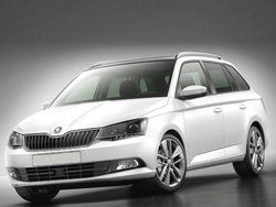 SKODA FABIA 1.4 TDI 75 CV Wagon Business N1