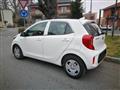 KIA PICANTO 1.0 12V 5 porte Urban