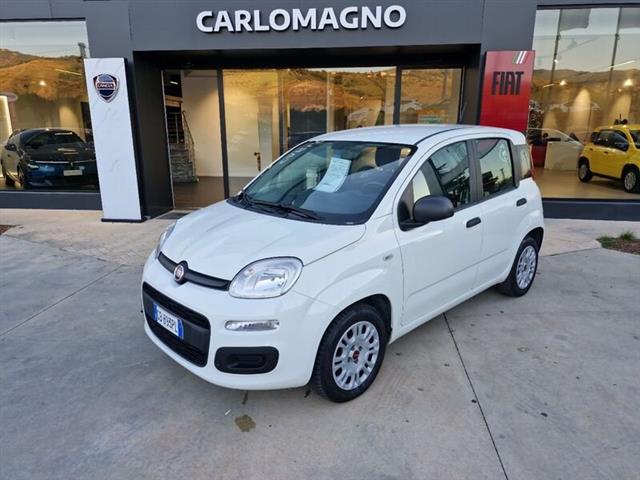 FIAT PANDA III 2016 1.2 Easy s&s 69cv my19