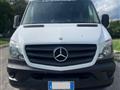 MERCEDES SPRINTER F37/35 313 CDI TN Furgone Executive