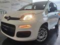 FIAT Panda 1.2 Easy Gpl UNI-PROPRIETARIO!