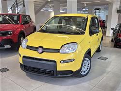 FIAT PANDA 1.0 FireFly S&S Hybrid Pandina