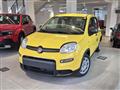 FIAT PANDA 1.0 FireFly S&S Hybrid Pandina