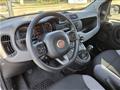 FIAT PANDA 1.0 FireFly Hybrid City Life PREZZO REALE! 5POSTI