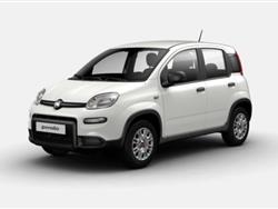 FIAT PANDA CROSS My24 1.0 70cv Hybrid