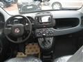 FIAT PANDA CROSS 1.0 FIREFLY S-S HYBRID CITY LIFE