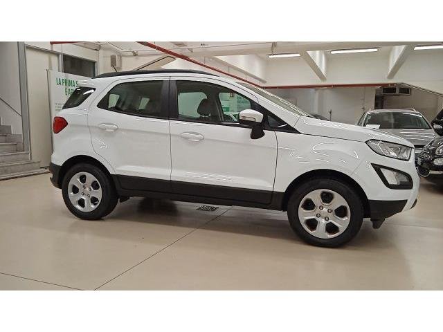 FORD ECOSPORT 2018 - 1.0 ecoboost Business s&s 125cv my19