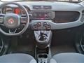 FIAT PANDA 1.2 Easy IDEALE PER NEO PATENTATI, IVA ESPOSTA