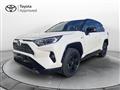 TOYOTA RAV4 2.5 HV (222CV) E-CVT AWD-i Style