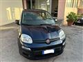 FIAT Panda 1.0 FireFly S&S Hybrid Easy