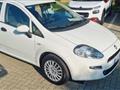 FIAT PUNTO 1.2 8V 5 porte Street