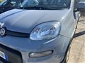 FIAT PANDA NEW My22 1.0 70cv Hybrid City Life