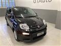 FIAT PANDA 1.0 FireFly S&S Hybrid Pandina PROMO GTAUTO