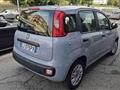 FIAT PANDA 1.0 FireFly S&S Hybrid 70cv