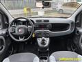 FIAT PANDA 1.2 Easy S&S - EURO 6 - OK NEOPATENTATI