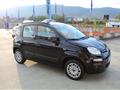 FIAT Panda 1.2 Pop Pari al nuovo Garanzia 12 mesi