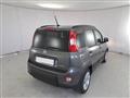 FIAT Panda 1.0 firefly hybrid s&s 70cv