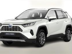 TOYOTA RAV4 2.5 HV (218CV) E-CVT Team