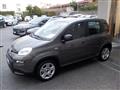 FIAT PANDA 1.0 FireFly Hybrid