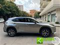 LEXUS NX Hybrid 4WD F-Sport