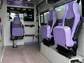 FIAT DUCATO AMBULANZA (3759) Ducato 30 2.3 MJT 150CV PM-TM Furgone