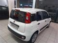 FIAT PANDA VAN 1.2 Van 4 POSTI KM 22283 !!!