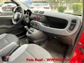 FIAT PANDA 1.0 FireFly S&S Hybrid Easy NEOPATENTATI