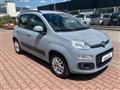 FIAT PANDA 1.2 LOUNGE AZIENDALE GUIDABILE NEOPATENTATO