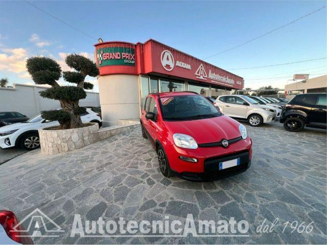 FIAT PANDA 3° serie 1.0 FireFly S&S Hybrid City Life