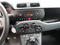 FIAT PANDA 1.2 69cv NEOPATENTATI