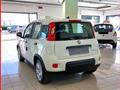 FIAT Panda 1.0 FireFly S&S Hybrid MY24 KM ZERO!!! IVATA NEOPATENTATI