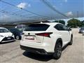 LEXUS NX Hybrid Business 197CV 4wd