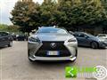 LEXUS NX Hybrid 4WD F-Sport