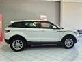 LAND ROVER Range Rover Evoque Evoque 2.2 sd4 Dynamic 190cv 5p auto 9m