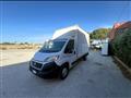 FIAT DUCATO 35 2.3 MJT 130CV PLM Cabinato Maxi